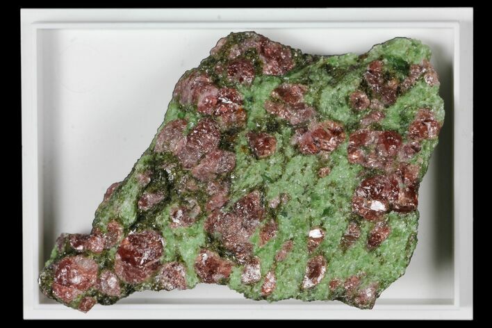 Pyrope, Forsterite, Diopside & Omphacite Association - Norway #131520